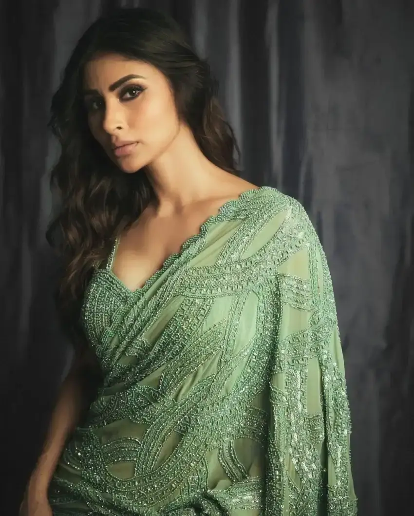 North Indian TV Actress Mouni Roy in Sleeveless Green Saree